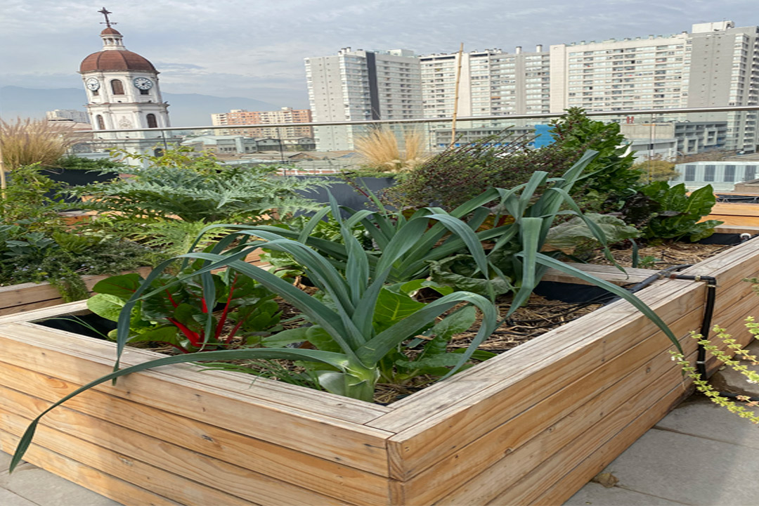 Cotexa - Cubiertas Vegetales